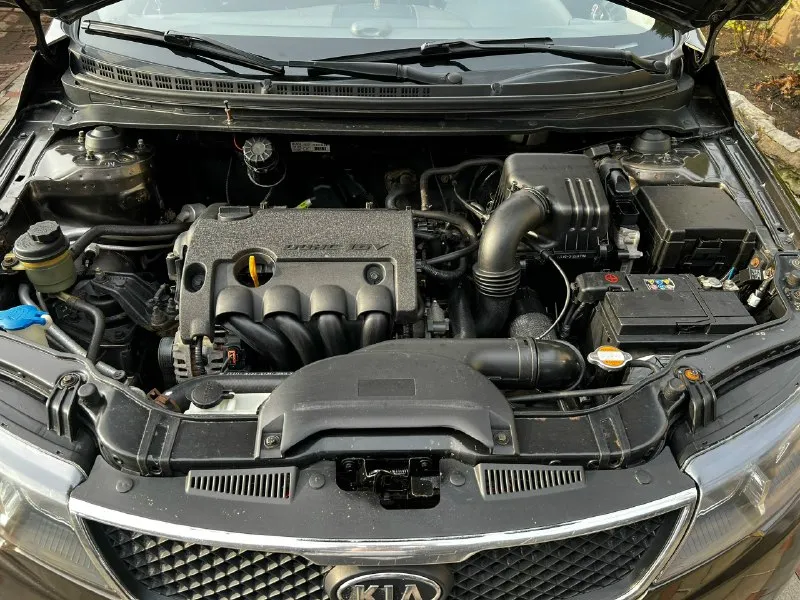 Продам kia серато 2 2009 г.270т. Км 1.6 л. С. Мкпп 5 двигатель масло не расходует 5v30 коробка+ход. Часть без нареканий авто без вложений кондиционер рабочий печка греет 4 стекло подъемника +доводчики авто проклеина шумо виброизоляцией сигнализация с обратной связью зад. Парктроники + камера андроид магнитола произведена двух этапная полировка кузова и обработана керамикой переоформление в мрео я владелец для связи+79493139952 телеграмм или макс территориально горловка цена 850т. Руб. Чехлы в подарок
📞 Звоните: +7(949)3139952 - фотография - 8