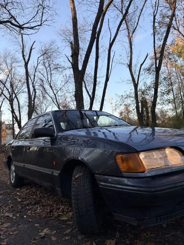 Продам ford scorpio 🔥 год выпуска:1992🔥 пробег, км:200.000 🔥 модификация:2.8 v6 мt 🔥 тип двигателя:бензин🔥 коробка передач :механика 🔥 привод:задний🔥 тип кузова : легковой седан🔥 koмплeктaция: comfort🔥 цвет:синий 🔥 в продаже старичек ford scorpio 2.8 v6 на заднем приводе. автомобиль на полном ходу и в хорошей комплектации. этот дракон на красивых титанах с хорошим комплектом резины. мотор заводится, работает хорошо, не троит, тяга смелая. кпп-все передачи включаются, без хрустов, ничего не выбивает. салон в нормальном состоянии для своих лет. ходовая очень мягкая, дорогу держит уверенно. по электрике всё в рабочем состоянии. так же имеется видео, по просьбе отправлю для более лучшего осмотра авто. готов к выезду в любой сервис по вашему желанию. многое могу не описать. при встречу всё расскажу и покажу. цена:129.999 тысяч возможен пригон по договоренности. возможен обмен. номер для связи:+79495752024,если не в сети (телеграмм или ватсап по этому же номеру) - фотография - 7