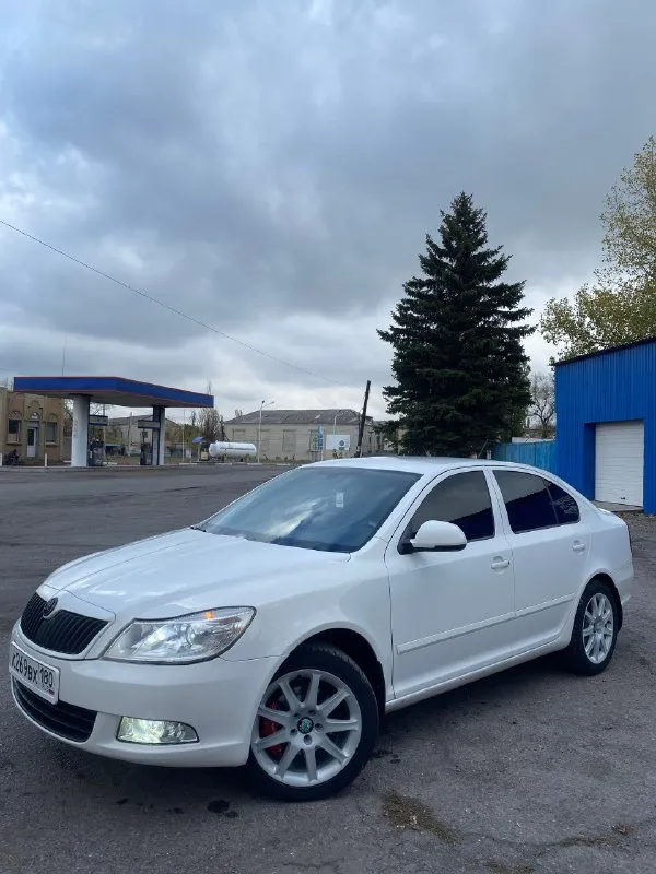 Skoda oktavia а5 2012 г. в. двигатель 1.8 tsi cdab кпп 6-ст. механика пробег 229 000 км. машина в хорошем состоянии, обслуживается во время, масло в двигателе ravenol 5-30 замена каждые 5 тыс. турбина дует отлично. замена помпы на 220 т. км. помпа (ina), ремень (dayco), концентрат (hepu) замена цепи на 190 т. км. нареканий по двигателю нет, мурчит как положено. заменены колодки перед - зад. заменен радиатор кондиционера. хорошая комплектаци: круиз-контроль, климат-контроль 2х зонный, датчик дождя, датчик света, авто затемнение зеркала заднего вида, подогрев передних седений, подогрев зеркал, система курсовой устойчивости, турбо таймер, камера заднего вида. машина на 17 дисках ronal от audi, резина sailun atrezzo zsr 235/45 на дороге чувствует себя уверенно, также имеется зимняя резина ikon nordman 7 на 16 заводских литых дисках. установленна сигнализация starline s96 с автозапуском и управлением через приложение. установленна магнитола teyes cc3. руль перетянут, чехлы (avtopilot). в ма 📞 звоните: +7(949)3844979 - фотография - 2