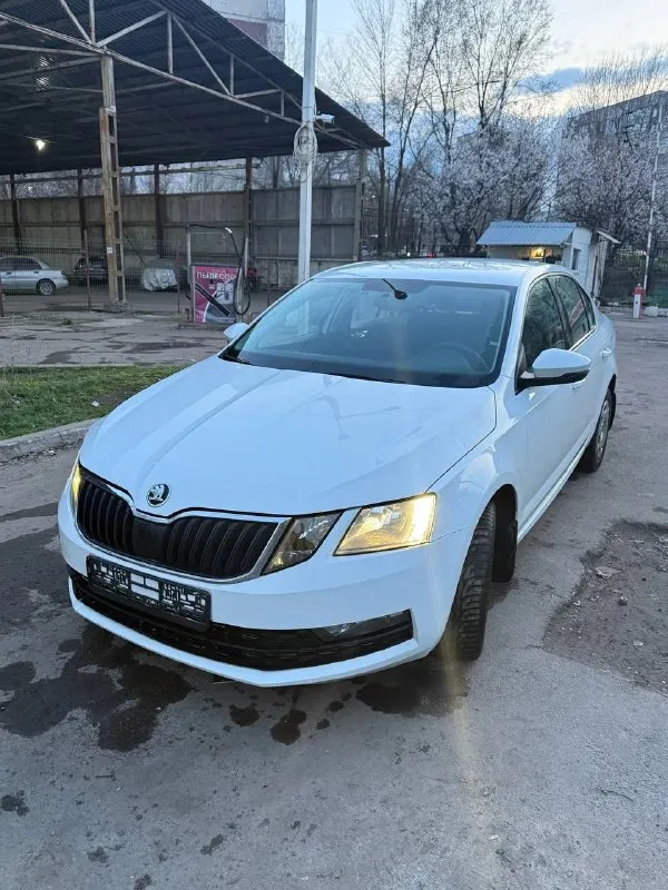 Skoda octavia a7 рестайлинг ( skoda октавия) официальная! 2019 год выпуска пробег 151000 двигатель 1... - фотография