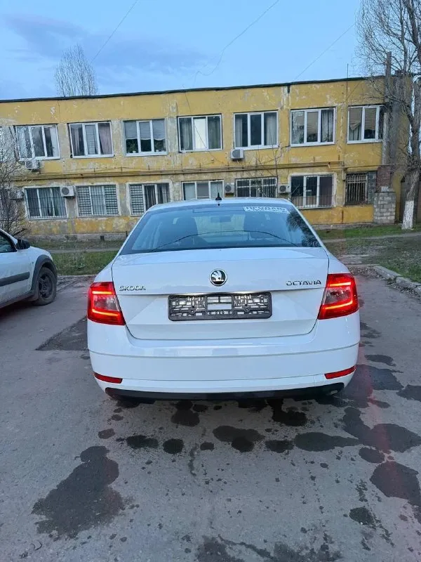 Skoda octavia a7 рестайлинг ( skoda октавия) официальная! 2019 год выпуска пробег 151000 двигатель 1.6 (обычный) кпп механическая птс оригинал! автомобиль в отличном состоянии! без юр проблем, в такси не была! лицензий никаких не было! кузов имеет заводской окрас, за исключением одного элемента, ничего критичного автомобиль полностью обслужен - 1000 км назад! двигатель 1.6 самый надежный и экономичный (7 литров по городу) подвеска не стучит! технически на 5+ кондиционер, подогревы сидений два ключа чистый и ухоженный салон автомобиль без «колхоза» все в оригинале, включая стекла оригинал! если вы не с луганска, могу все показать по видео! город луганск цена 1450000 рублей(торг) +79591730638 📞 звоните: +7(959)1730638 - фотография - 2