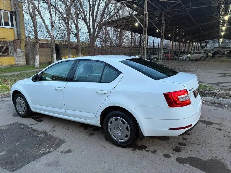 Skoda octavia a7 рестайлинг ( skoda октавия) официальная! 2019 год выпуска пробег 151000 двигатель 1.6 (обычный) кпп механическая птс оригинал! автомобиль в отличном состоянии! без юр проблем, в такси не была! лицензий никаких не было! кузов имеет заводской окрас, за исключением одного элемента, ничего критичного автомобиль полностью обслужен - 1000 км назад! двигатель 1.6 самый надежный и экономичный (7 литров по городу) подвеска не стучит! технически на 5+ кондиционер, подогревы сидений два ключа чистый и ухоженный салон автомобиль без «колхоза» все в оригинале, включая стекла оригинал! если вы не с луганска, могу все показать по видео! город луганск цена 1450000 рублей(торг) +79591730638 📞 звоните: +7(959)1730638 - фотография - 3