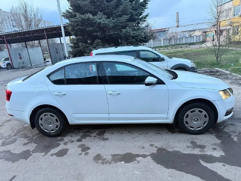 Skoda octavia a7 рестайлинг ( skoda октавия) официальная! 2019 год выпуска пробег 151000 двигатель 1.6 (обычный) кпп механическая птс оригинал! автомобиль в отличном состоянии! без юр проблем, в такси не была! лицензий никаких не было! кузов имеет заводской окрас, за исключением одного элемента, ничего критичного автомобиль полностью обслужен - 1000 км назад! двигатель 1.6 самый надежный и экономичный (7 литров по городу) подвеска не стучит! технически на 5+ кондиционер, подогревы сидений два ключа чистый и ухоженный салон автомобиль без «колхоза» все в оригинале, включая стекла оригинал! если вы не с луганска, могу все показать по видео! город луганск цена 1450000 рублей(торг) +79591730638 📞 звоните: +7(959)1730638 - фотография - 4