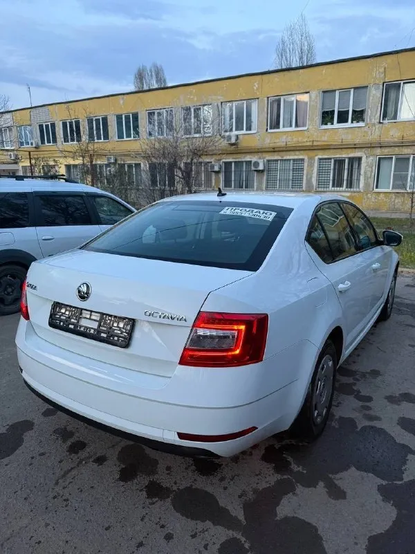 Skoda octavia a7 рестайлинг ( skoda октавия) официальная! 2019 год выпуска пробег 151000 двигатель 1.6 (обычный) кпп механическая птс оригинал! автомобиль в отличном состоянии! без юр проблем, в такси не была! лицензий никаких не было! кузов имеет заводской окрас, за исключением одного элемента, ничего критичного автомобиль полностью обслужен - 1000 км назад! двигатель 1.6 самый надежный и экономичный (7 литров по городу) подвеска не стучит! технически на 5+ кондиционер, подогревы сидений два ключа чистый и ухоженный салон автомобиль без «колхоза» все в оригинале, включая стекла оригинал! если вы не с луганска, могу все показать по видео! город луганск цена 1450000 рублей(торг) +79591730638 📞 звоните: +7(959)1730638 - фотография - 5