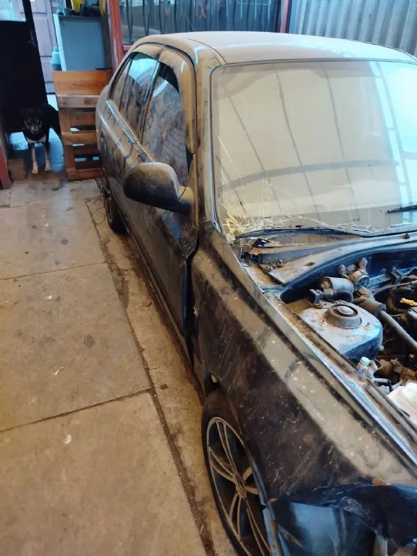 Продажа после дтп, на разборку или под восстановление, документы в порядке. hyundai accent 2008 г. в., мотор 1.5, механика. пробег 200000 км цена договорная все вопросы по телефону:+79494636787 - фотография - 7