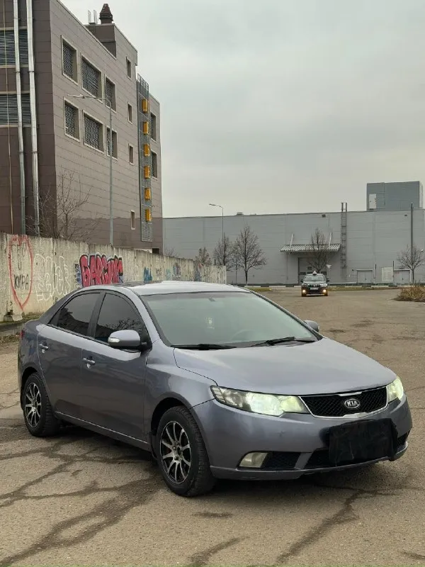 Продам kia cerato. сборка корея. год:2010. объем:1.6. кпп:чистый автомат. автомобиль в отличном состоянии как технически, так и визуально. двигатель работает как часики, не дымит, не троит, масло не расходует, все расходники заменены, масло, фильтра, свечи и т. д, комплект грм (все цепи, башмаки натяжитель)! коробка полноценный автомат работает как положено, не пинает, не тупит, передачи листает не заметно. ходовая отрабатывает без лишних шумов, не стучит, не гремит ни куда не тянет, передние амортизаторы, опоры, опорные подшипники, стойки стабилизатора, втулки стабилизатора, сайлентблоки новые! кузов в хорошем состоянии, гнили, ржавчины нет, выглядит хорошо как на фото, есть мелкие косяки ни чего критичного автомобиль не новый, дно, пороги в идеальном состоянии. комплектация хорошая есть все для комфортной и безопасной эксплуатации:датчик света, подогрев передних сидений, мульти руль, климат контроль, кондиционер, электро зеркала, подогрев лобового,4эсп и многое другое, 📞 звоните: +7(949)5668652 - фотография - 2