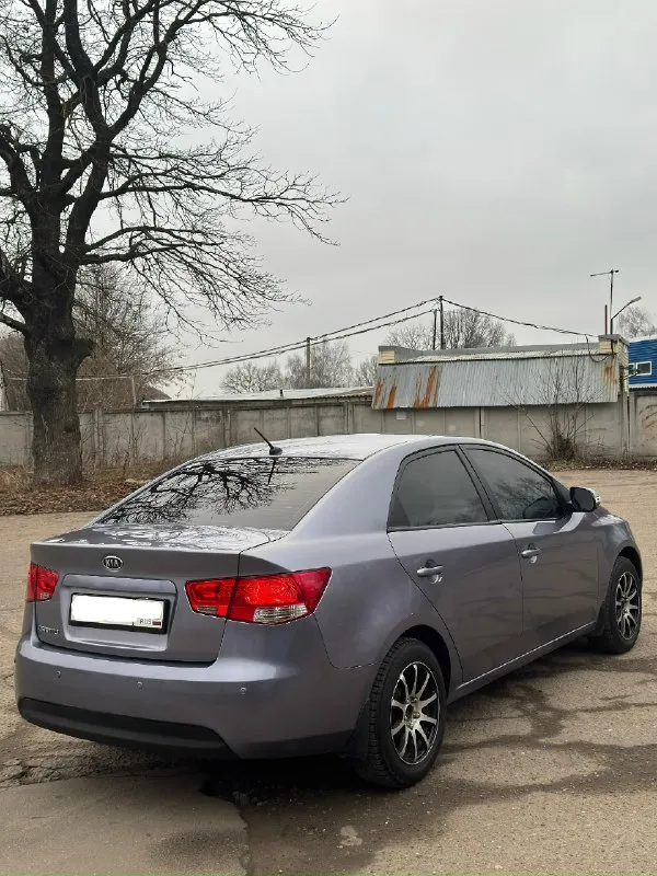 Продам kia cerato. сборка корея. год:2010. объем:1.6. кпп:чистый автомат. автомобиль в отличном состоянии как технически, так и визуально. двигатель работает как часики, не дымит, не троит, масло не расходует, все расходники заменены, масло, фильтра, свечи и т. д, комплект грм (все цепи, башмаки натяжитель)! коробка полноценный автомат работает как положено, не пинает, не тупит, передачи листает не заметно. ходовая отрабатывает без лишних шумов, не стучит, не гремит ни куда не тянет, передние амортизаторы, опоры, опорные подшипники, стойки стабилизатора, втулки стабилизатора, сайлентблоки новые! кузов в хорошем состоянии, гнили, ржавчины нет, выглядит хорошо как на фото, есть мелкие косяки ни чего критичного автомобиль не новый, дно, пороги в идеальном состоянии. комплектация хорошая есть все для комфортной и безопасной эксплуатации:датчик света, подогрев передних сидений, мульти руль, климат контроль, кондиционер, электро зеркала, подогрев лобового,4эсп и многое другое, 📞 звоните: +7(949)5668652 - фотография - 6