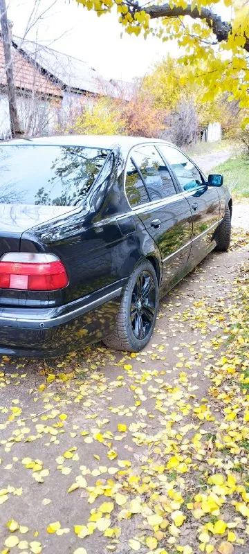 Bmw e39 3.0 акпп все вопросы по телефону, осмотр енакиево, горловка. возможен обмен на машину выше только +79495037011 телеграм хочу 700₽ 📞 звоните: +7(949)5037011 - фотография - 10