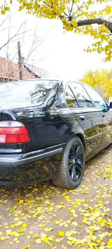 Bmw e39 3.0 акпп все вопросы по телефону, осмотр енакиево, горловка. возможен обмен на машину выше только +79495037011 телеграм хочу 700₽ 📞 звоните: +7(949)5037011 - фотография - 8