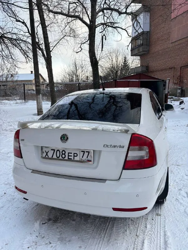 Skoda octavia 2013г. , 1.6 акп, пробег 195.000 км. (не скручен), 1 хозяин с 2014 года. без дтп, в такси и каршеринге не использовалась. есть мелкие следы эксплуатации и несколько не критичных недостатков. цена: 980.000₽ звонить +79493083108 - фотография - 5