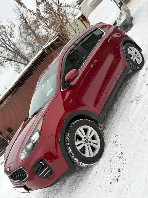 Продам kia sportage 4 декабрь 2016г. В идеальном состоянии!!
Родной подтверждённый пробег 159.тыс. Км. Двигатель 2.4 бензин (самый надёжный атмосферный двигатель) в паре с обычный автоматом asin!привод полный. Авто абсолютно вся обслужена и не требует никаких вложений, и в ближайшее время не будет требовать. .гаражное хранение. История авто кристально чиста как слеза, без подводных камней и скрытых дефектов! За всё время эксплуатации не было не одного дтп! Все стекла оригинальные. Реально очень хороший sportage (таких сейчас единицы). Семейный автомобиль. Техническое состояние как у нового автомобиля! Двигатель работает как часы(масло грамма не берёт) никаких задир нет, не путайте с мотором 2.0. Кпп переключается мягко и легко. Фары передние и задние в бронеплёнке. Стоит новая автомагнитола. Видео регистратор спереди и сзади. Evo ковры. Сигнализация с обратной связью и с автозапуском. Хорошая летняя резина на дисках + в подарок отдаю комплект зимней резины тоже на
📲 Tg: @byba_19
📞 Звоните: +7(949)3834312 - фотография - 1