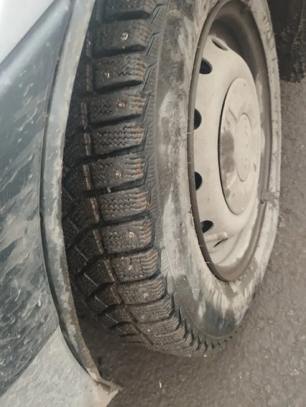 Продам дачу логон универсал от хозяина переоформление через мрэо тел 9591301656 торг до 700т. рф. 📞 звоните: +7(959)1301656 - фотография - 7