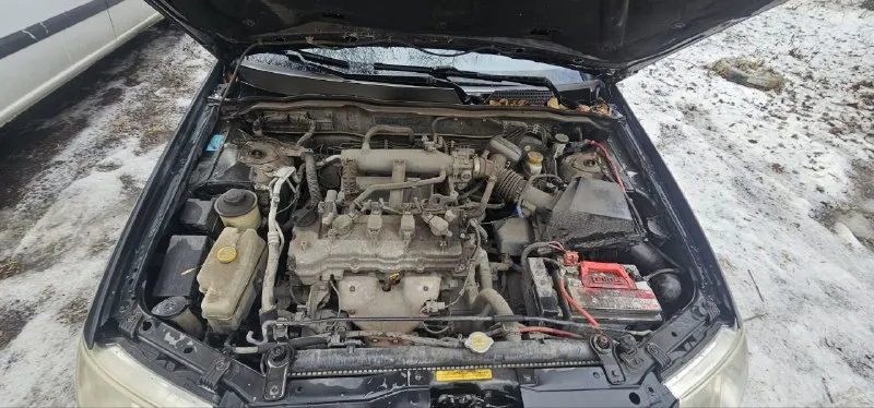 Продам nissan almera classic 1.6 по документам полностью зелёная. работает как часики, ходовая в нор... - фотография