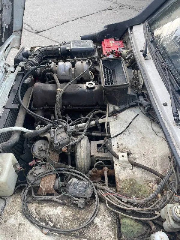 Нива 2003 год 1,7 мт 205,000 км пробег инжектор машина в идеальном состоянии как технически так и по кузову вид имеет. доехала 1,400 км из ессентуков на одном дыхании. стоит газ работают идеально хорошая зимняя резина короче кто хочет идеальную ниву тогда вам подойдет цена 300 000 руб машина в макеевки могу привезти куда нужно будет +7 (949) 638-01-13 - фотография - 7