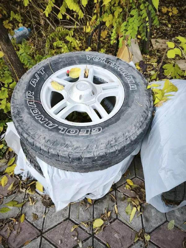 🚗 уаз патриот 2015год. двигатель без каких либо замечаний в хорошем техническом состоянии. трансмиссия полностью обслужена, замена диска сцепления с корзиной. мосты кпп раздатка обслужена. ходовая часть полностью новая до каждого болтика. кондиционер морозит, печка жарит. за машину не стыдно своевременное обслуживание. крайнее обслуживание 22.11.25г на сумму 173т. р чеки и наряд имеются. цена на пару дней. торга нет и не будет за машину не стыдно. цена: 650000 ₽ 📲 tg: байкал 📞 🇷🇺 звоните: +79494391244 авторынок днр донецк - фотография - 9