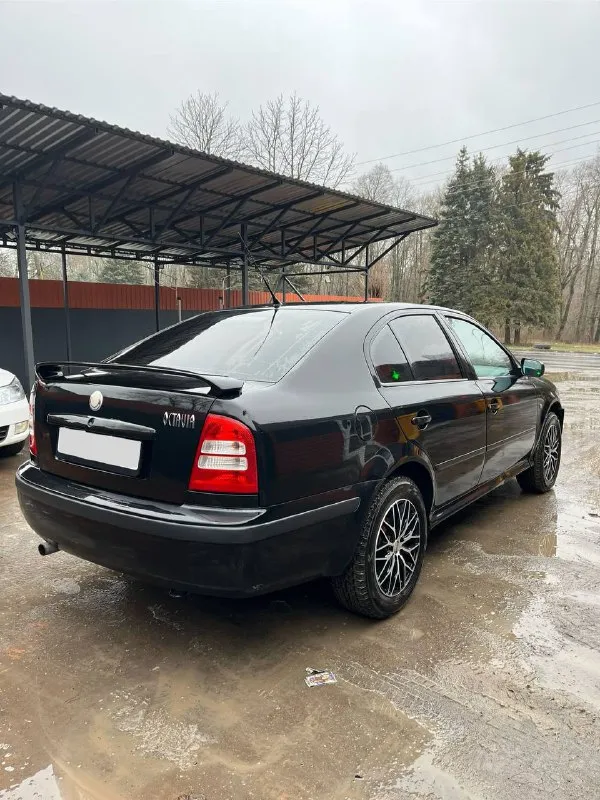 ❗️продам skoda octavia tour❗ год выпуска 2007,мотор 1,6 bfq (бензин), коробка: механика, пробег: 300.000км ✅цена: 670.000р. , торг машиной владею больше 3 лет, юридически абсолютно чистая, любое переоформление без проблем! 3 хозяина по птс ♻автомобиль в хорошем состоянии. мотор в идеале, коробка тоже, в птс вписан гбо (но не стоит), ходовая сбитая, сделан приятный выхлоп! 🛞2 комплекта шин в хорошем состоянии! 🏠осмотр днр, г. амвросиевка ☎️подробности по телефону: +79493447379 +79493447380 - фотография - 5