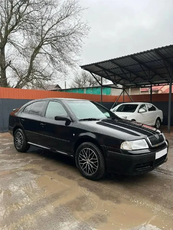 ❗️продам skoda octavia tour❗ год выпуска 2007,мотор 1,6 bfq (бензин), коробка: механика, пробег: 300.000км ✅цена: 670.000р. , торг машиной владею больше 3 лет, юридически абсолютно чистая, любое переоформление без проблем! 3 хозяина по птс ♻автомобиль в хорошем состоянии. мотор в идеале, коробка тоже, в птс вписан (но не стоит), ходовая сбитая, сделан приятный выхлоп! 🛞2 комплекта шин в хорошем состоянии! 🏠осмотр днр, г. амвросиевка ☎️подробности по телефону: +79493447379 +79493447380 📞 звоните: +7(949)3447379 - фотография - 5