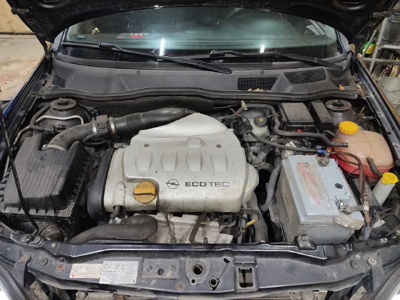 Продам opel astra g 2003г 1.8 16v пробег 250.000 владею с 21 года, второй хозяин на лнр номерах с 21 года без дтп, был один черкаш сзади(бампер), и небольшой удар об столб спереди (бампер) целый пару царапин, есть не большие рыжики, компрессор кондея не работает либо замена либо ремонт, есть ошибка по лямде (решение либо оригинальный датчик либо перепрошивка под эвро какое-то там(8.000р) недавно появилась ошибка по подушке безопасности, эти ошибки не на что не влияют меня они не парили по этому не делал, зашумлена полностью в том числе капот и крышка багажника, ксенон, диодные туманки, омыватель фар, андроид магнитола с выдвижным экраном, + дополнительные 20-е динамики в полке от усилка, новая зимняя резина nexen и тысячи не проехала, + летняя резина, с машиной отдам родные коврики, туманки, стопы. машина стоит не езжу, от машины не избавляюсь, причина продажи пересел на другое авто, продажа не спешная цена 370.000р вопросы по телефону+79592049753 📞 звоните: +7(959)2049753 - фотография - 8