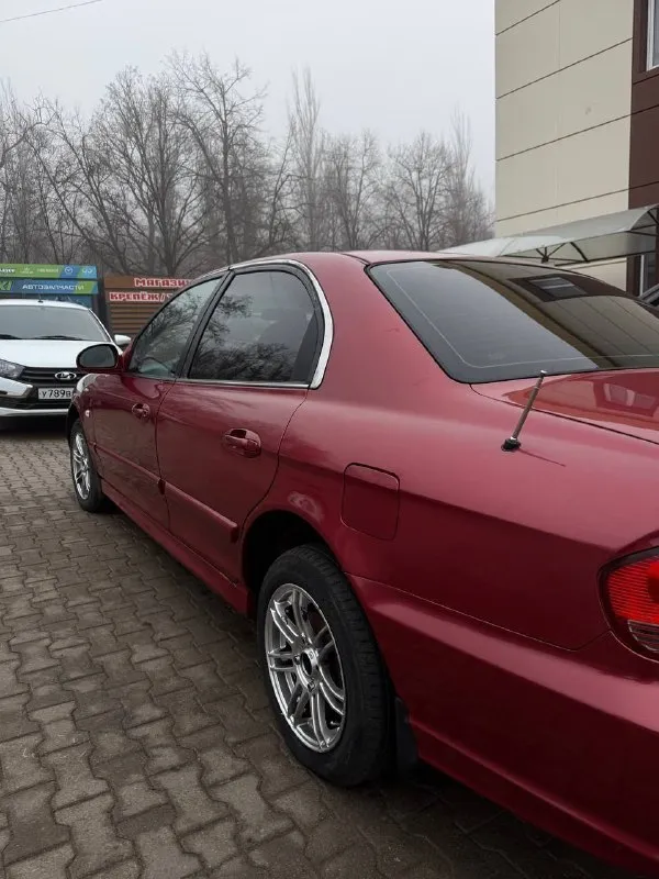 Hyundai sonata 2004 2.0 мкпп 131 л с. машина в хорошем состоянии, я собственник. установлено abs, гур, 4 эсп, кондиционер, многофункциональный цветной дисплей, электрические зеркала с подогревом, регулировка руля, цз. машина обслужена, функции исправны. без явных и скрытых дефектов. салон чистый. за машину не стыдно. 430 тыс. руб, торг после осмотра горловка +7949-471-31-02 📲 tg: v 📞 звоните: +7(949)4713102 - фотография - 4