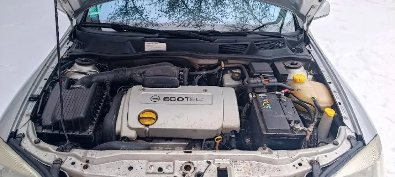 Г. донецк. +79493576549 opel астра ж 1.6 16v 2001г. пробег 278800. не скручен. цена 540 т. р. с торгом. продам реально живую безпроблемную машину. 2эсп, кондиционер, машина пригнана в 2021 с германии. одна хозяйка в донецке. на авто крашено пол единицы по причине притертости, все остальное в родне, без рыжиков и гнили. стекла заводские. без аварий и прочего. обслуженная машина. поменян грм и масло. ходовая без стуков, мотор без дыма, без потеков, сцепление живое. салон, багажник и прочее в идеале. вложений не требует. два комплекта новой резины зима-лето. 📞 звоните: +7(949)3576549 - фотография - 7