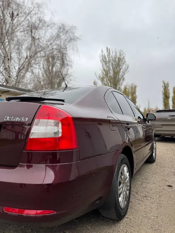 В продаже skoda octavia a5 (2012 г) 1.6 механика. 141.000 оригинального пробега✅ 1 хозяин. ( машина местная, не пригон ) стоит газ. оборудование ✅ автомобиль в идеальном состоянии как внешне, так и внутри. машина отполированна, нанесена керамика ✅ недавно была сделана полностью ходовая часть. за машиной ухаживали, денег не жалели. кожаный салон в идеальном состоянии. работает абсолютно все. двигатель на 5+, коробка без замечаний, ходовая 5+ ✅ в машине стоит планшет teyes, 2 комплекта ковриков в подарок. 2 комплекта колес. резина зима новая, лето на литье. авто прошло полное т/о по машине делать абсолютно ничего не нужно, сел - поехал. цена: 1.135.000 рублей. продаю в связи с покупкой нового авто. звонить по номеру +79496072294 ( если недоступен telegram, whatsapp по этому номеру 📱) 🤝 📲 tg: @valut777 📞 звоните: +7(949)6072294 - фотография - 4