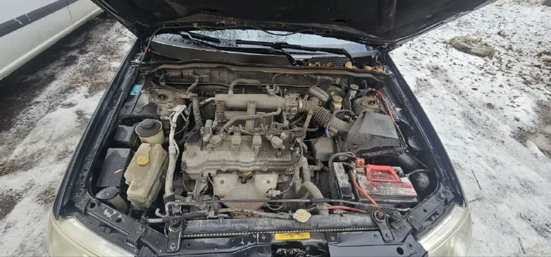 Продам nissan almera classic 1.6 по документам полностью зелёная. # работает ровно, ходовая в норме, по кузову есть небольшие нюансы стоит немного приложить руки. вся электроника работает как положено. установлена сигнализация с автозапуском pandora цена 350 000 + торг реальному покупателю. г. донецк звонить или писать в телеграмме +79151567623 📲 tg: andrei semenchenko 📞 звоните: +7(915)1567623 - фотография - 4