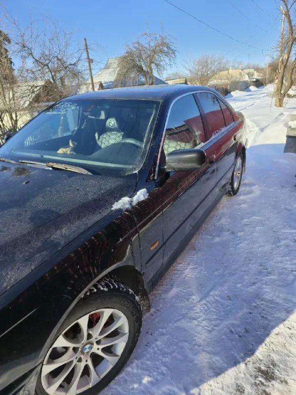 Продам bmw e39 520 m54b22 2001г. пробег 350000, состояние нормальное. цена 700 к. +79493324418 снежное 📲 tg: николай 📞 звоните: +7(949)3324418 - фотография - 5