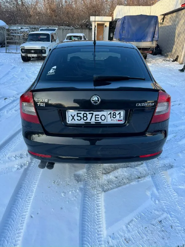 Продам skoda октавия а5 2010 год мотор 1.8т полностью обслужен, масла фильтра, цепь менялось 1000 км назад коробка в отличном состоянии масло поменяно, работает идеально без пинков и рывков новые супорта, тормозные диски и колодки новая зимняя резина 1 stage прошита, едет очень достойно, расход радует стоит дорогой и приятный выхлоп двухзонный климат обслужен и заправлен фреон. подогрев передних и задних сидений музыка болеро хороший свет, регулировки все работает в машине работает все каждая кнопочка. переоформление без проблем продажа от собственника цена 790 000₽ макеевка +79493341707 📞 звоните: +7(949)3341707 - фотография - 6