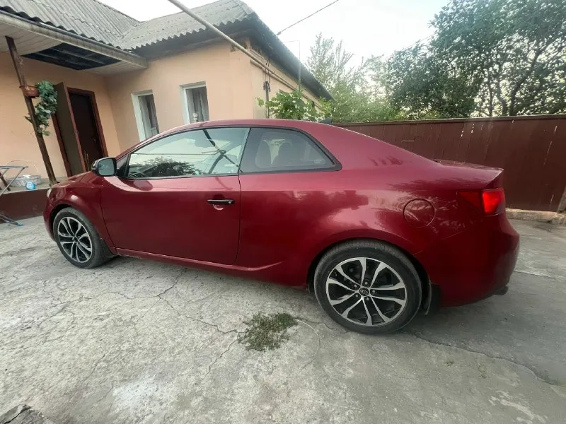 Продам kia cerato coup 2010г 2 литра (150 лс) 6 ст механика машина технически в отличном состоянии, небыло ни одного дтп, отчет по авто максимально чистый пробег 240 тысяч, болячки мотора устранены, кат вырезан, капиталку (с гильзовкой) делал около 30 тысяч назад в краснодаре на хорошем сто, с гарантией на пробег 100 тыс. И всей документацией, новый генератор и стартер и еще много чего, пишите всё расскажу салон в идеале, каждая кнопка работает, магнитола с камерой заднего вида и регистратором подогревы сидений, мультируль, круиз контроль, датчик света, климат контроль работает отлично огромные безрамочные двери, не провисли приятный раздвоенный выхлоп, крыша закатана в черную пленку 17е диски резина зима и лето машина вторая в семье, сейчас просто стоит цена: 750к торг +7 949 4382473 (только телеграмм) +7 995 4988125 донецк-макеевка
📞 Звоните: +7(949)4382473 - фотография - 8