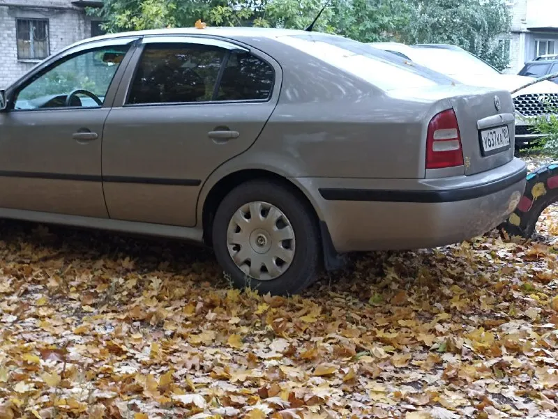 Продам шкода октавия тур 2007 г, 1.4 мкпп, 213000 пробега, на полном боевом ходу, без кондера, собственник 430000 р, +79495645769 - фотография - 3