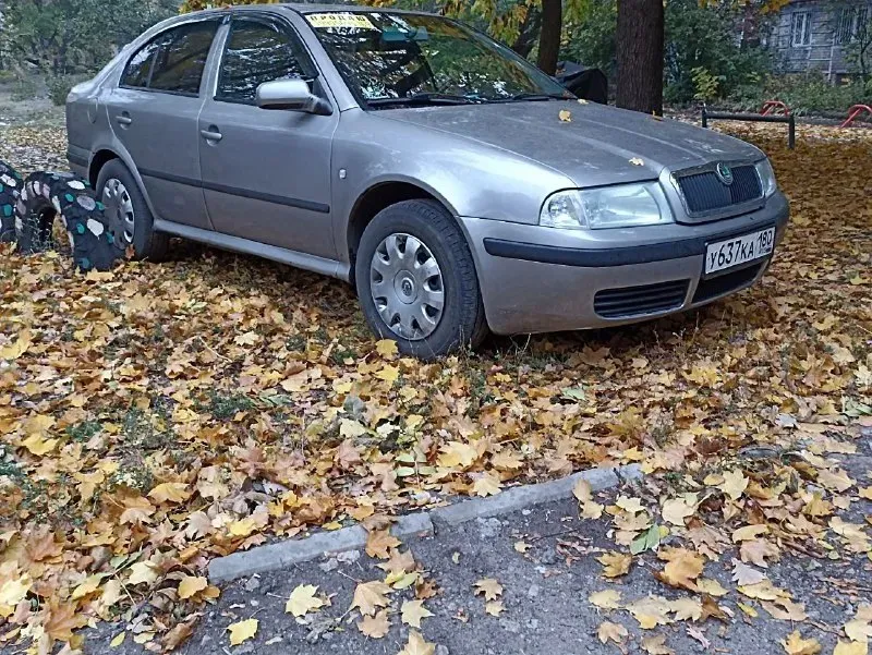 Продам skoda октавия тур 2007 г, 1.4 мкпп, 213000 пробега, на полном боевом ходу, без кондера, собст... - фотография