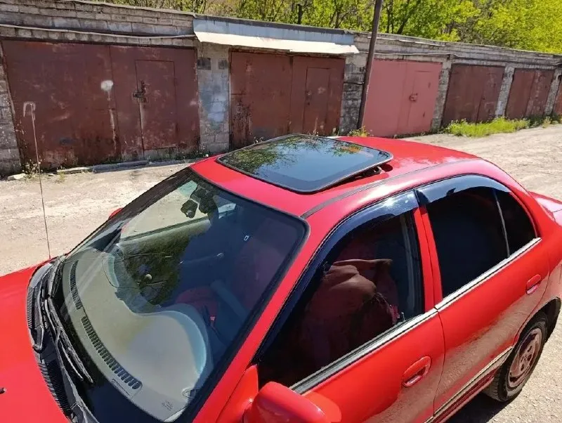 Продам hyundai accent 1995г корейской сборки для американского рынка в редком красивом цвете. гаражн... - фотография