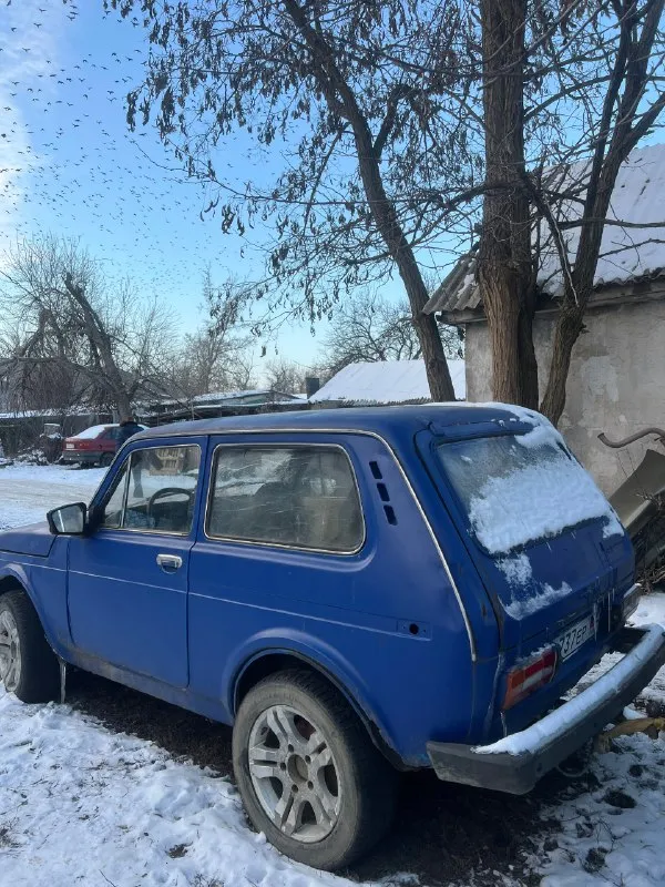 Продам ваз 2121! на полном ходу дно переваренное, много чего нового! машина готовилась для зимнего офроуда учет днр цена 200 000₽ торг будет. город макеевка +79490890454 🅿️ авторынок днр лнр 🔰 список авторынков юга ➡️ разместить своё авто 🚘 📞 звоните: +7(949)0890454 - фотография - 3