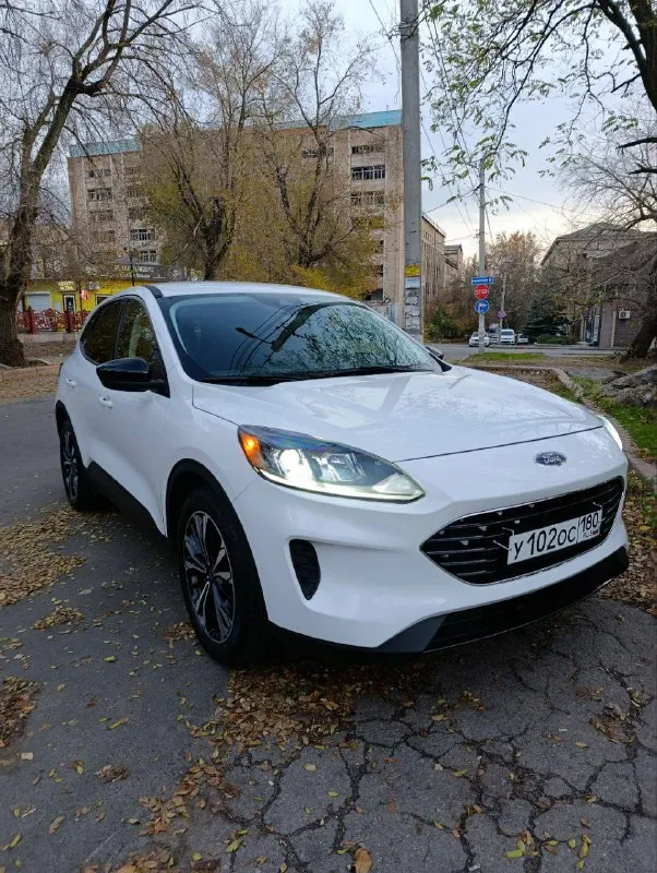 Продаю собственный автомобиль ford escape 2021 двигатель 1.5 турбо (бензин) 180 л. с. акпп 8 ступенчатый гидроавтомат от форд 8f24 пробег 37,000 км расход топлива в смешанном цикле составляет около 10+- литров на 100 километров. клиренс 20 см. ford escape оснащен всеми необходимыми системами безопасности и комфорта. в частности, в автомобиле установлены системы abs и esp, а также фронтальные и боковые подушки безопасности для водителя и переднего пассажира, а также для пассажиров сзади сбоку. также автомобиль оборудован кондиционером, мультимедийной системой с сенсорным экраном и возможностью подключения смартфонов через bluetooth (carplay). кроме того, есть камера заднего вида, которая облегчает парковку в условиях города. дополнительно установлен видеорегистратор. салон автомобиля выполнен из высококачественных материалов, что создает приятную атмосферу внутри. сиденья удобны и эргономичны, благодаря чему даже длительные поездки будут проходить с комфортом. диски r19 лето и r18 зима. оба комплекты резины и дисков новые. тормоза дисковые передние и задние. заводится с кнопки старт-стоп, бесключевой доступ, камера заднего вида с динамической разметкой и парктрониками, датчики давления шин, система старт-стоп, помощник при трогание в гору, carplay (русифицированная навигация), новый комплект шин, круиз контроль, удержание в полосе, адаптированный свет, климат контроль двухзонный, выбор режима езды. автомобиль прошел все необходимые технические осмотры и готов к эксплуатации без каких-либо проблем. один хозяин, электронный птс нет штрафов, и запретов ✅ цена 2,000,000 рублей❗️❗️❗️ + комплект зимней резины с r18 дисками в подарок (при желании можете сохранить номер) +79494185917 - алексей - фотография - 3
