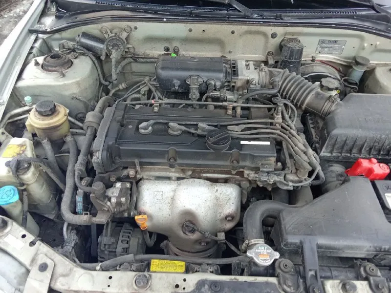 ❗️ hyundai accent ❗️от собственника. 2008 г. в. двс сухой, специально не мыл, работает ровно, не дымит, тянет отлично. мкпп переключается как положено, мягко, без посторонних звуков. ❗️комплектация мт 2 с кондиционером (работает)❗️…гидроусилитель руля, корректор фар, обогрев заднего стекла. кузов без дыр, рыжиков и шпатлёвки. стекла родные, кроме лобового (менялось из за термотрещины). 10 тыс. км назад было то. (замена ремня грм, ролики, помпа, в круг колодки, шаровые опоры, сделан сход-развал) салон не прокурен и не протёрт. печка греет отлично. резина зима (шипы). установлена сигнализация. стоит хорошая музыка, провода под сабвуфер. поёт достойно. цена 350 тыс. руб. торг присутствует. тел. : +79498457847 📞 звоните: +7(949)8457847 - фотография - 5