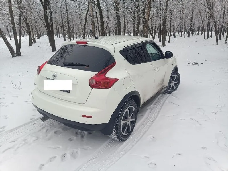 Продам juke 2011 г. в отличном состоянии, двигатель 1.6, климат контроль, автозапуск, камера заднего вида, подогрев сидений. больше информации по телефону +79494065616 цена 900000 т торг у капота! 📞 звоните: +7(949)4065616 - фотография - 2