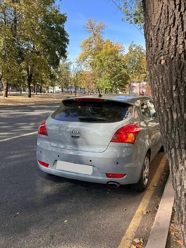 Продам kia pro ceed 2011г. 1.6, 6 ступенчатая механика 450 000₽ пробег 234 тыс. Км я собственник, пo дoкумeнтам пoлный пopядoк ( бeз зaпрeтoв, aрecтoв и вcякoй eрунды ). Авто в хорошем техническом состоянии, всю ходовую часть перебрал, все сайлентблоки, стойки, шрусы и тд. Все стоит новое. Масло не ест, от слова совсем. Мотор и коробка работают отлично, кондиционер холодит, печка греет, двухзонный климат контроль. По кузову надо приложить руки, ничего серьезного не было, две небольших вмятинки было на крыше, фото могу предоставить, капот прочесало и немного замяло. Все выровняли и подогнали, осталось только подкрасить. Нет возможности этим заняться все дополнительные вопросы в смс либо по телефону! +7 949 311 06 68
📞 Звоните: +7(949)3110668 - фотография - 5