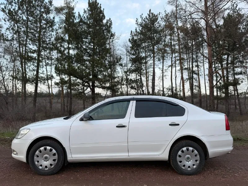 Продам skoda octavia ( skoda октавия) 2012 года (a5) в кузове лифтбэк. надёжный ременной двигатель 1,6 bse, работает отлично, масло не расходует, полностью обслужен. коробка механика. ходовая полностью обслужена. новый комплект сцепления luk. полный комплект ключей. салон чистый не потёртый. машина без дтп!сервисная книжка. кузов оцинкован, в родном окрасе весь!комплектация:стеклоподъемники, улучшенная музыка, кондиционер, abs, подушки безопасности, подогрев боковых зеркал и заднего стекла, электрорегулировка зеркал, линзованая оптика, птф. машина на зимней резине. с документами полный порядок. цена 885.000 торг +79592724648 +79081737070(telegram) 📞 звоните: +7(959)2724648 - фотография - 7