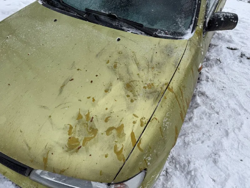 Nissan almera n15 1995г машина для своих лет в нормальном состоянии. поменян ступичный рычаг, все пружины стоек амортизаторов, спереди стоят проставки 30мм, с зади поставить не успели, ходовка хорошая, коробка не троит, переключает плавно. тупит стартер, нет аккумулятора, минусы по кузову видны на фото. цена 140т. р. торг документы в порядке, переоформление +79496176246 писать в телеграмм: @maksim_998 📲 tg: @maksim_998 📞 звоните: +7(949)6176246 - фотография - 5