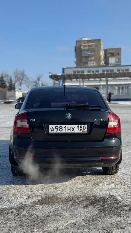 Продам skoda octavia a5 2011 1.8 tsi пробег 264.000 автомобиль в хорошем состоянии для своих лет, кузов живой, гнили и ржавчины нет. пару косметических окрасов, в остальном весь в родной краске. в плане техники без нареканий, двигатель в порядке, масло только поменял, цепь менялась не давно. dsg сцепление остаток 60%, переключает плавно, без дребежаний и рывков. история обслуживания, заказ наряды на ремонты прилагаются. салон чистый и ухоженный по электрике без вопросов, все что нужно работает. новая зимняя резина, летняя в комплекте. юридически чистая, я владелец по документам. 2 комплекта ключей, книжка шкода. приезжайте смотрите! цена 890.000₽ торг будет реальному покупателю! торез +7 (949) 075-07-12. 📞 звоните: +7(949)0750712 - фотография - 4