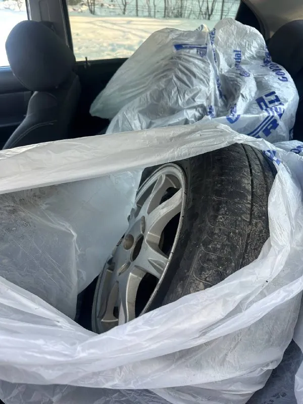 Продам chevrolet aveo, 2008 г. ✅ пробег: 219 000 км ✅ двигатель: 1.5 мт (украинская сборка) ✅ хозяев: 2 за всю историю ✅ состояние: отличное, полностью обслужена 🛠 техническое состояние: двигатель 1.5 работает ровно, не дымит, не троит. 🔧 29 000 км назад был капитальный ремонт двигателя. кузов целый, без дтп, дно и пороги заводские, без намёка на гниль. коробка идеал, без хрустов и вылетов. ходовая взбитая, без посторонних звуков. электрика всё работает исправно. ✨ богатая комплектация 📗 автотека — зелёная 🚘 машина использовалась только по луганской области 📄 продажа от собственника 📍 осмотр: г. свердловск 💰 цена: 499 000 ₽ 💬 торг реальному покупателю возле капота 📞 телефон: +7 (959) 187 1883 📞 звоните: +7(959)1871883 - фотография - 9