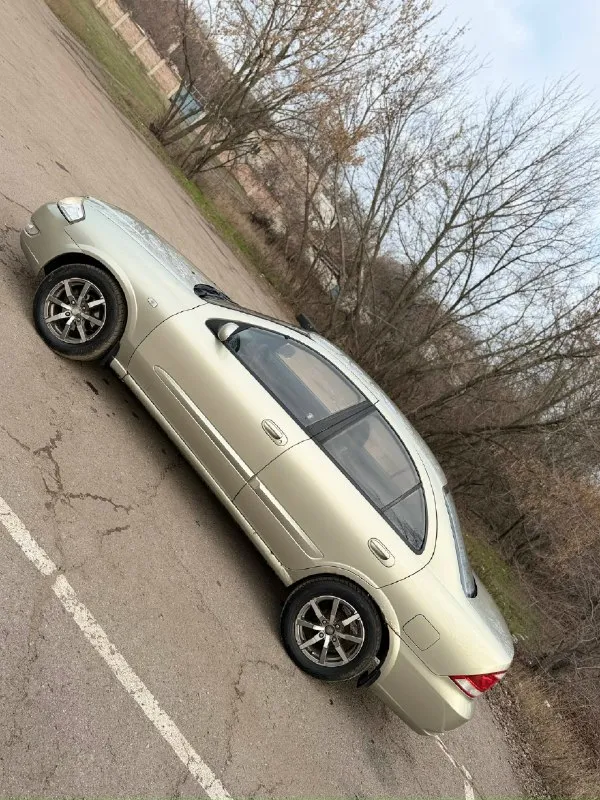 Продам almera classic 2007г 1,6 механика автомобиль очень резвый, двигатель работает ровно, тихо, без каких либо ошибок, коробка тоже. ходовая в норме. салон практически идеальный. есть подогрев и вентиляция передних сидений, абс, электрокорректор фар, зеркал. на хорошей зимней резине. в комплекте полноразмерное родное запасное колесо на литом диске. на задних арках имеются не критичные рыжики. 2 хозяина. авто все документы на руках! цена:370.000 небольшой торг у капота присутствует! г. торез +7-949-406-01-94 (на нем есть телеграм) +7-949-082-78-38 или в лс 📞 звоните: +7(949)4060194 - фотография - 2