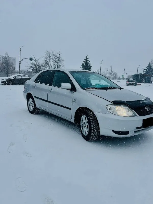 Toyota corolla 1.4 2004г оригинальный пробег 240.000км 3 хозяина было за все время. один из самых надежных двигателей 4zz-fe, цепной, чугунные гильзы, катализатор еще на месте и в отличном состоянии, минимум проблем, не дорогой и доступный. механическая коробка передач 5 ступка, никаких проблем. состояние машины очень живое в сравнении в каком они состоянии сейчас, машине 20 лет, кузов в хорошем состоянии, дно без не ржавое не гнилое, пороги в отличном состоянии, низа дверей, стаканы и тд. , все отлично. по лакокрасочному проблем нет. ходовую переберирали, нареканий никаких. кондиционер работает отлично, все что есть все работает. резина новая viatti шипованая. салон в очень хорошем состоянии, сиденья как новые, нюансов по салону нет. отличный надежный авто за свои деньги, гораздо лучше всяких грант, вест и тд. нужно приехать, прокатится и сами все поймете. осмотр г. снежное цена 500000р +79495818520 📞 звоните: +7(949)5818520 - фотография - 2