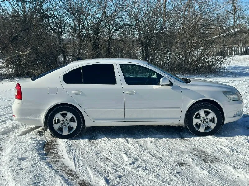 Продам skoda октавия а5 1.8 tsi, год 2013.в очень хорошем состоянии, автомобиль без дтп, пробег 167.000 тыс, без гнили, ржавчины, полностью обслужена, и обработана. резина michelin хорошая (лето), зимняя новая, ходовая на отлично. недавно было сделано то(заменили тех. жидкости и фильтра), едет бодро, кпп 6-ти ступенчатый aisin, двигатель работает тихо. 2500 тысячи назад был сделан капитальный ремонт двигателя, запчасти ставились хорошие и дорогие, не этом не жалел, было вложено более 300 тысяч. по электрике все работает, ошибок нет. гаражное хранение, в машине не курили, салон чистый. состояние - сел и поехал. центральный замок, сигнализация, доводчики всех стекол, авто свет, датчик дождя, климат, круиз, мультируль, хорошая мультимедиа, хорошая магнитола, подогревы передних и задних сидений,2 комплекта ключей, сервисная книжка. цена: 1 200 000 рублей, звонить по номеру телефона: +79494172093 📞 звоните: +7(949)4172093 - фотография - 4