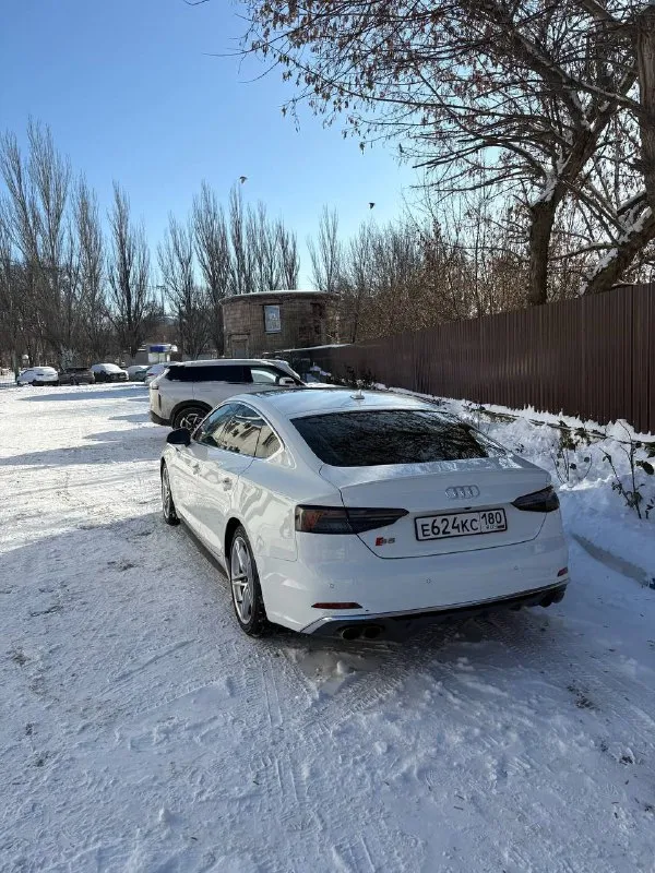 Продам audi s5 2019 год выпуска, 64000 пробег, мотор 3.0 349л. с quattro, лифтбэк, в идеальном состоянии, самая полнаная комлектация, кожа + алькантара, адаптивный круиз, камеры 360 + радары, подогревы, память, массаж, панорама, аудиосистема bang & olufsen, apple carplay. юридически чистый, в донецке с момента пригона. телефон для связи +7 949 321-88-11 михаил. цена 4500000 📲 tg: андрей 📞 звоните: +7(949)3218811 - фотография - 4