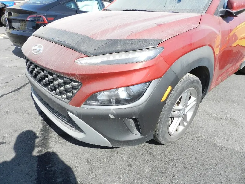 Hyundai kona год : 03/2021 привод : полный 4wd пробег: 30.000 км. двигатель: 2.0 бензин (150 л. с.) машина в грузии доставка в течении 10дней цена : 1.599.000 рублей. +79493781111 📞 🇷🇺 звоните: +79493781111 - фотография - 9