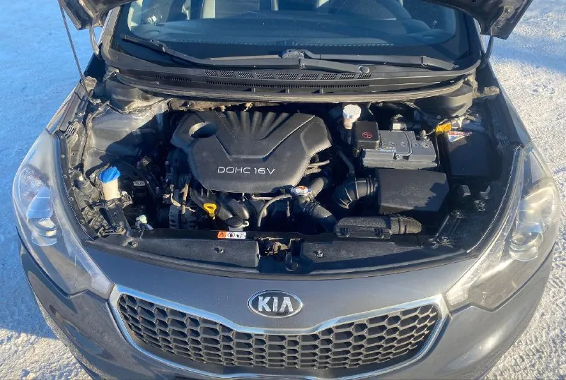 Kia cerato (киа церато )1.6 at, 2014г. , 139 000 км 1.6 at (130 л. с.) авто в отличном состоянии, ухоженный автомобиль в максимальной комплектации коробка автомат ( asin ) abs- антиблокировачная система esp- система курсовой устойчивости эсп - 4шт (электростеклоподъемники бортовой компьютер бесключевой доступ кнопка start/stop подушки безопасности два ключа сигнализация starline с автозапуском круиз контроль складываемые эл. зеркала с подогревом парктроники задние и передние мультимедиа, андроид, aux, bluetooth, usb камера заднего вида видеорегистратор мультируль подрулевые лепестки; датчик света и дождя двухзонный климат-контроль подогрев передних и задних сидений подогрев руля усилить рулевого управления на литых дисках и зимней резине липучке r16 противотуманные фары юридически чистая. штрафов, залогов и ограничений нет. находится в днр. г. енакиево диагностическая карта в мрэо для постановки на учет в наличии. цена 1120 000 руб тел: +79495646302 - фотография - 10