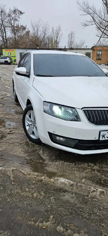 Skoda a7 2013г я собственник, полное переоформление. пробег 164 тыс 1.8 turbo акпп dsg 7ст. автомобиль в отличном состоянии, как внешне, так и технически. после пройденного большого то на данный момент автомобиль садись и катайся. комплектация максимальная в плоть до розетки 220v в автомобиле работает каждая кнопочка, все в рабочем состоянии, все функционирует. резины 2 комплекта за автомобиль не стыдно готов на любые проверки цена 1🍋 разумный торг у капота, кому дорого покупайте гранты. спасибо за понимание +79498061770 +79496288388 📲 tg: @alia06112017 📞 звоните: +7(949)8061770 - фотография - 2