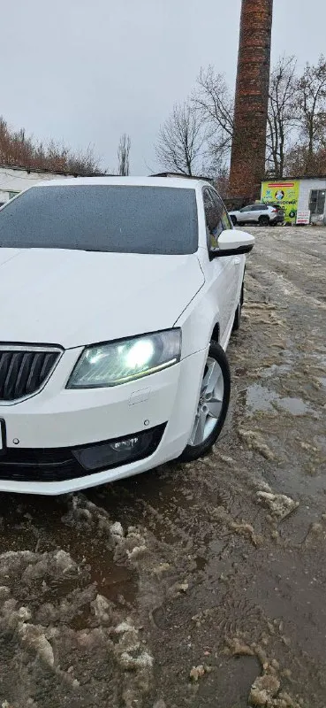 Skoda a7 2013г я собственник, полное переоформление. пробег 164 тыс 1.8 turbo акпп dsg 7ст. автомобиль в отличном состоянии, как внешне, так и технически. после пройденного большого то на данный момент автомобиль садись и катайся. комплектация максимальная в плоть до розетки 220v в автомобиле работает каждая кнопочка, все в рабочем состоянии, все функционирует. резины 2 комплекта за автомобиль не стыдно готов на любые проверки цена 1🍋 разумный торг у капота, кому дорого покупайте гранты. спасибо за понимание +79498061770 +79496288388 📲 tg: @alia06112017 📞 звоните: +7(949)8061770 - фотография - 3