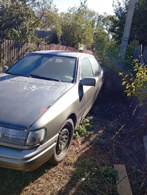 ↘️в продаже ford-scorpio↙️ ‼️внимательно читайте объявление ‼️ техническое состояние 4/5 двигатель-2.0л❗️ машина на ходу (надо поменять втягивающее стартера)❗️ резина хорошая, зима шипы ✅ ходовка в хорошем состоянии 👌 кузовное состояние 4- в дтп не участвовала ❗️ ‼️утеряны документы‼️машину продаю под разбор. либо на сво‼️ учет днр, хозяин на связи❗️ 💲цена-60000т. р💲быстрым торг✅ писать в лс либо +79785214992 ✳️находится в снежном✳️ 📞 звоните: +7(978)5214992 - фотография - 3
